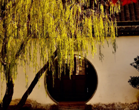 5炜奕1.jpg 5炜奕1.jpg